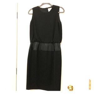 Adrianna Papéll Dress